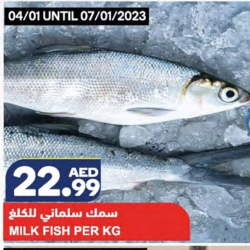 Phl Sea K B/L Milkfish Mar/Hot 25X500GM