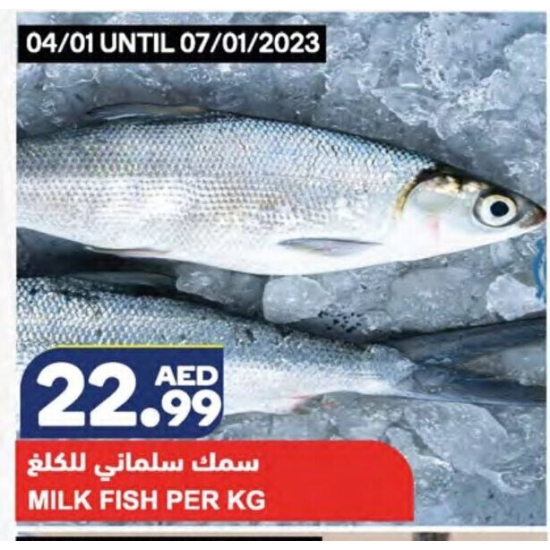 Phl Sea K B/L Milkfish Mar/Hot 25X500GM