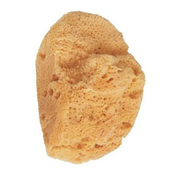 Beter Sea Bath Sponge Small Beter Sea Bath Sponge Small