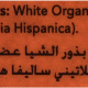 Organic Larder Chia Seeds White, Pack Of 60x300g