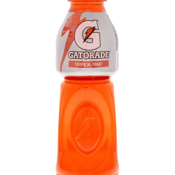 Gatorade Tropical Fruit Energy Drink, 500ml, Pack Of 24