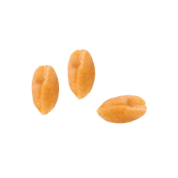 Best Playful Peanuts Box Salted, 30 Packets x 13g Best Playful Peanuts Box Salted, 30 Packets x 13g