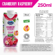 Ocean Spray Cranberry Raspberry Mixed Fruit Drink No Sugar Added, Contains Vitamin C 250 ml