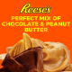Hershey's Reese's 3 Chocolate Peanut Butter Cups 46g