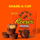 Hershey's Reese's Mini Unwrapped Chocolate Peanut Butter Cups 215g