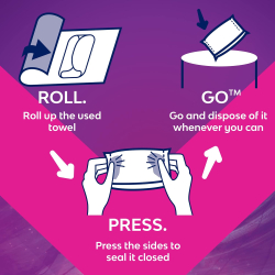 Nana Maxi Night Wings (22pcs), Pack Of 6