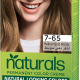 Palette Permanent Naturals Color Creme 7-65 Medium Gold Blonde