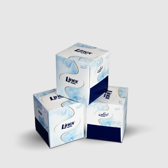 Linex Classic 100 Sheets x 2 Ply Boutique Facial Tissues 100x24