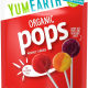 Yum Earth Organic Fruit Pops 40 Pieces, 248g