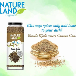 Natureland Organics Ajwain (Carom Seeds) 100g, Pack Of 6 Natureland Organics Ajwain (Carom Seeds) 100g, Pack Of 6