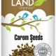 Natureland Organics Ajwain (Carom Seeds) 100g