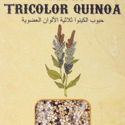 Anab Organic Tricolor Quinoa 340g, Pack Of 6 Anab Organic Tricolor Quinoa 340g, Pack Of 6