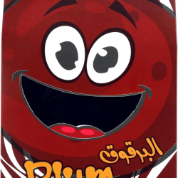 Chattels Zone Plum Bites 100g, Pack Of 12