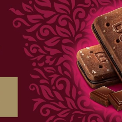 Sunfeast Dark Fantasy Bourbon 120x60g