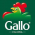 Riso Gallo