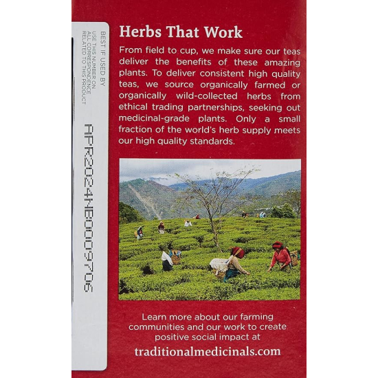 Traditional Medicinals Echinacea Plus, 16 Teabags