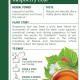 Traditional Medicinals Raspberry Leaf 16 Tea Bags