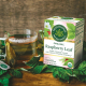 Traditional Medicinals Raspberry Leaf 16 Tea Bags