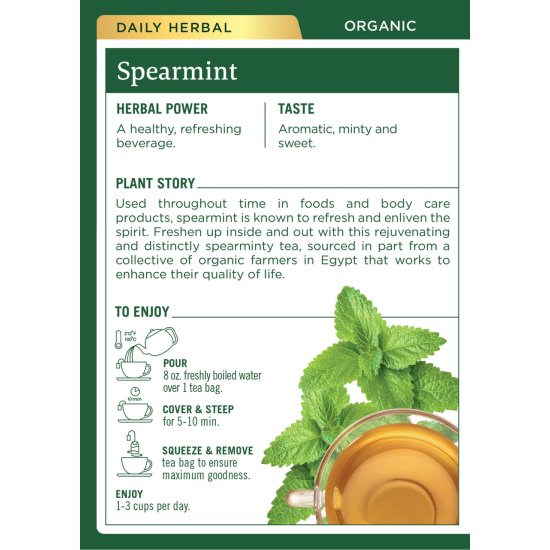 Traditional Medicinals Spearmint 16 Tea Bags