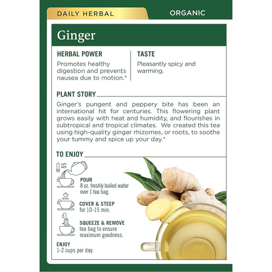 Traditional Medicinals Ginger, 16 Teabags