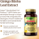 Solgar SPF Ginkgo Biloba Leaf Extract 180 Vegetable Capsules