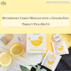 Higher Living Organic Lemon & Ginger Tea Bags 15's Higher Living Organic Lemon & Ginger Tea Bags 15's