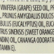 Aura Cacia Clearing Eucalyptus Body Oil 118 ml