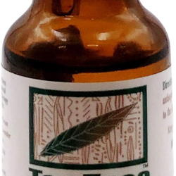 Tea Tree Therapy Pure Tea Tree oil 15 ml Tea Tree Therapy Pure Tea Tree oil 15 ml