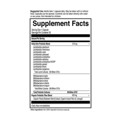 Garden of Life Dr. Formulated Probiotics Once Daily 30Caps Garden of Life Dr. Formulated Probiotics Once Daily 30Caps