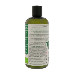 Petal Fresh Pure Grape Seed And Olive Oil Shampoo 16 oz Petal Fresh Pure Grape Seed And Olive Oil Shampoo 16 oz