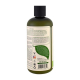 Petal Fresh Pure Grape Seed And Olive Oil Conditioner 16 oz