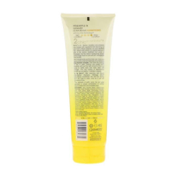 Giovanni - 2Chic Ultra-Revive Shampoo, 8.5 Oz Giovanni - 2Chic Ultra-Revive Shampoo, 8.5 Oz
