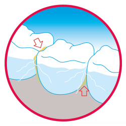 Foramen Protection Mouthwash 500ml Foramen Protection Mouthwash 500ml