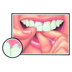 Foramen Dental Floss Tape 25m Foramen Dental Floss Tape 25m