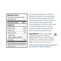 Xylichew Gum Peppermint 12 pcs Xylichew Gum Peppermint 12 pcs