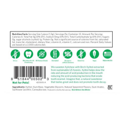 Xylichew Gum Spearmint 12 pcs Xylichew Gum Spearmint 12 pcs