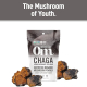 Om Chaga Organic Mushroom Powder 100 g