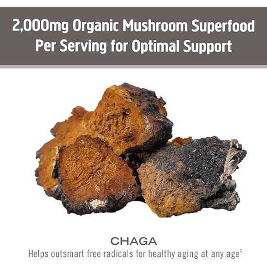 Om Chaga Organic Mushroom Powder 100 g