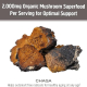 Om Chaga Organic Mushroom Powder 100 g