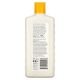 Andalou Sunflower & Citrus Brilliant Shine Shampoo 340ml