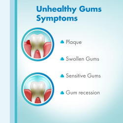 Meridol Fluoride Tooth Paste 75 ml Meridol Fluoride Tooth Paste 75 ml