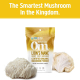 Om Lions Mane Organic Mushroom Powder 100 g