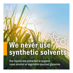 Herb Pharm Black Elderberry Glycerite 1 Oz Herb Pharm Black Elderberry Glycerite 1 Oz