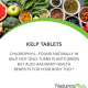 Nature's Plus Kelp Tab 300 Tablets