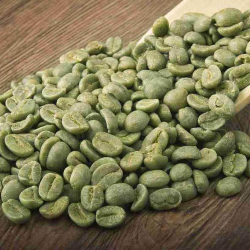 Why is Green Coffee the new weight loss formula?