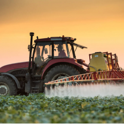 Does Organic Mean Pesticide Free?